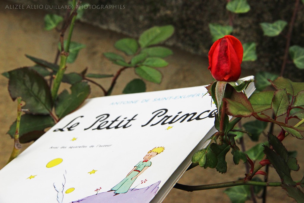 Chronique du livre Le Petit Prince d'Antoine de Saint-Exupéry - Format